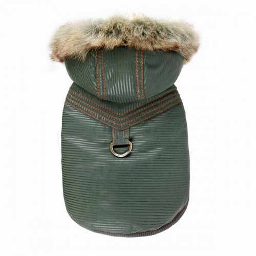 Pretty Pet Vertica Hooded Coat (Green)